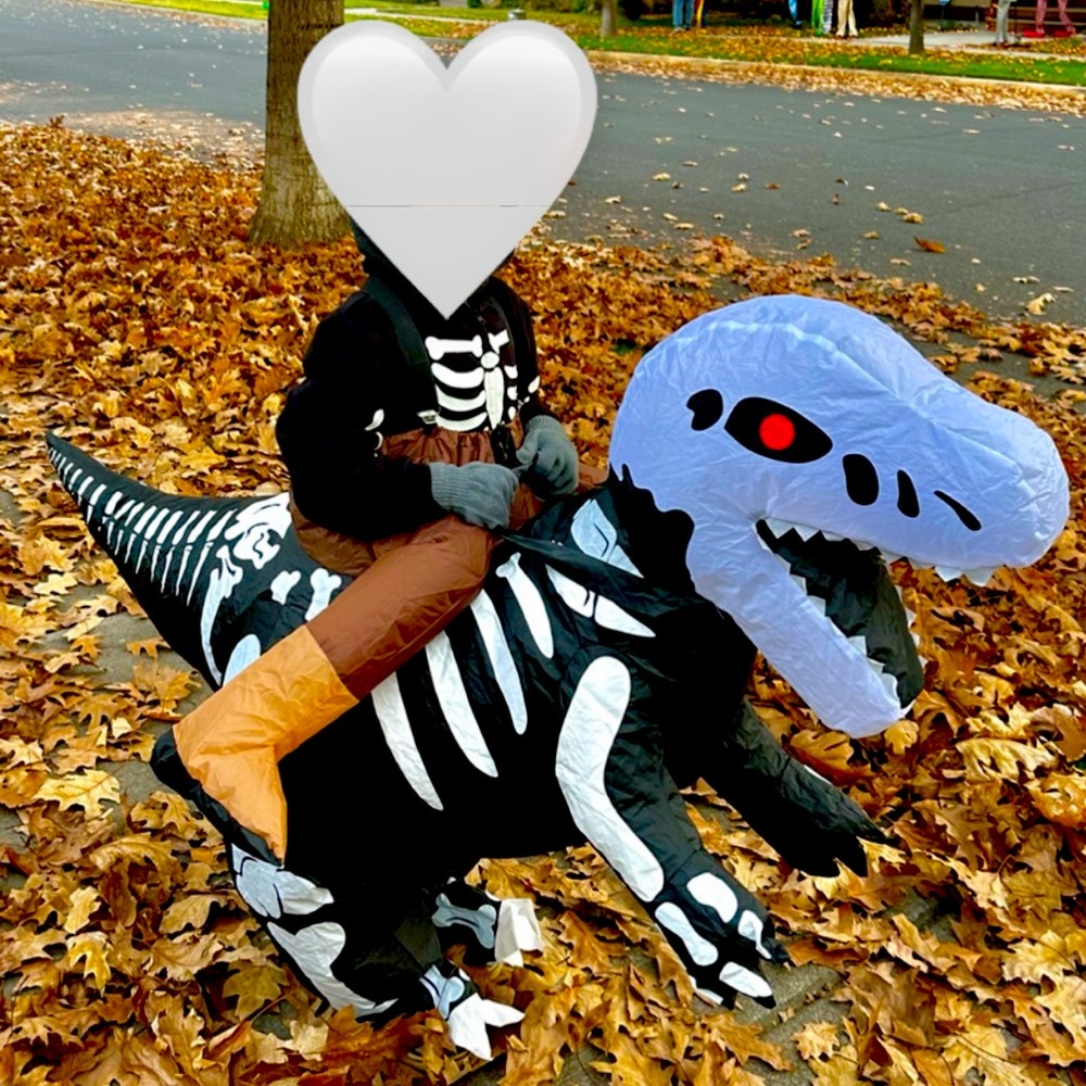 Kids blow up Dino costume